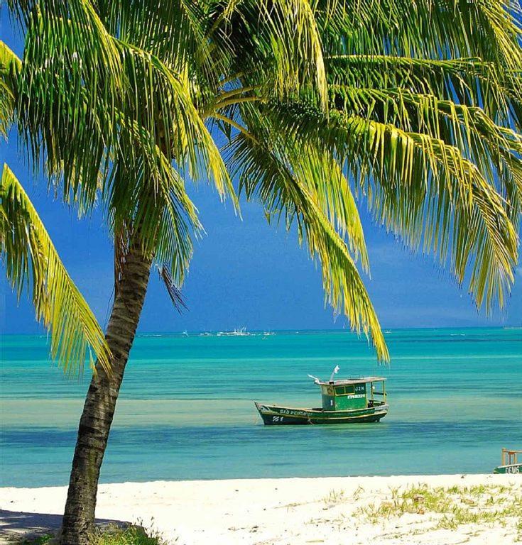 Apartamento Praia Jatiuca Maceió Exteriér fotografie